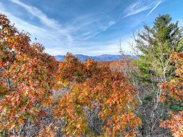 Lot 11 Creek Camp Road, Ellijay, GA 30536