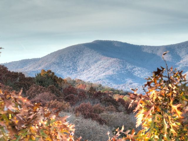 Lot 11 Creek Camp Road, Ellijay, GA 30536