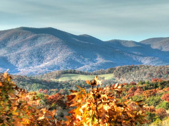 Lot 11 Creek Camp Road, Ellijay, GA 30536