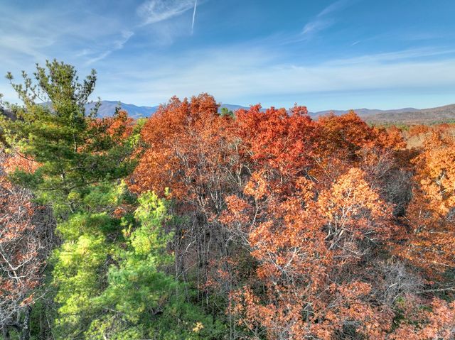 Lot 11 Creek Camp Road, Ellijay, GA 30536