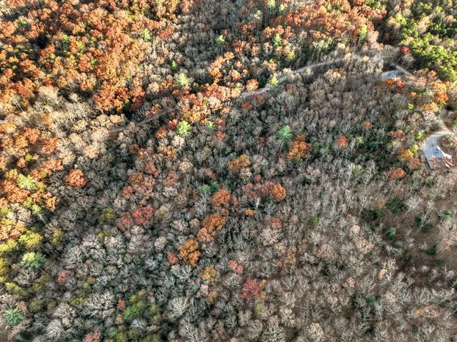 Lot 11 Creek Camp Road, Ellijay, GA 30536