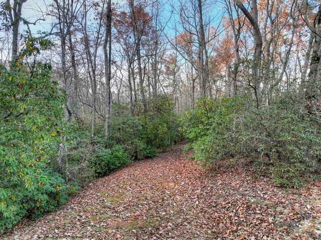 Lot 11 Creek Camp Road, Ellijay, GA 30536