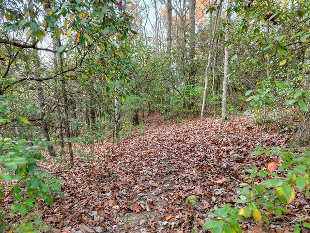Lot 11 Creek Camp Road, Ellijay, GA 30536