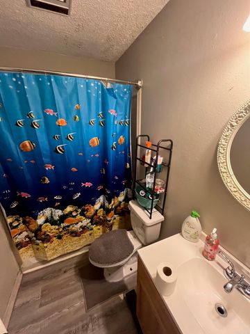 211 Violet ST, Mena, AR 71953