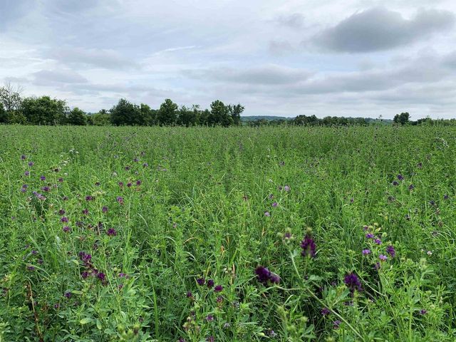 W11380 Ninabuck Road, Columbus, WI 53925