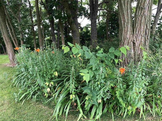 W11380 Ninabuck Road, Columbus, WI 53925