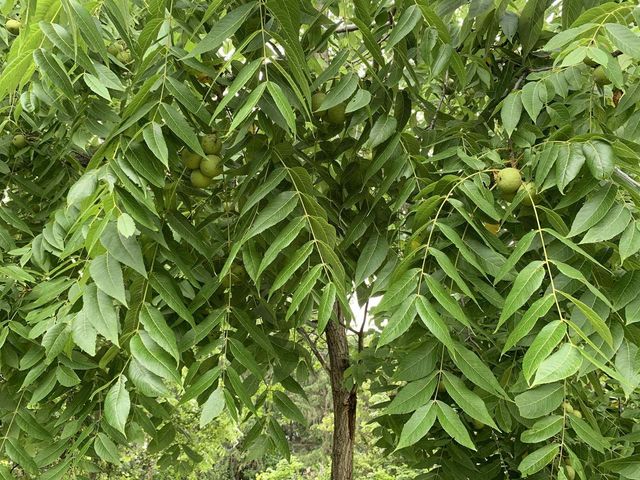 W11380 Ninabuck Road, Columbus, WI 53925