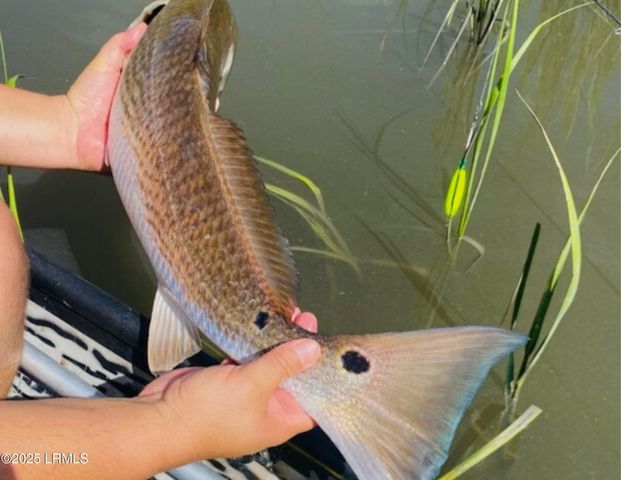 120 Bull Point Drive, Seabrook, SC 29940