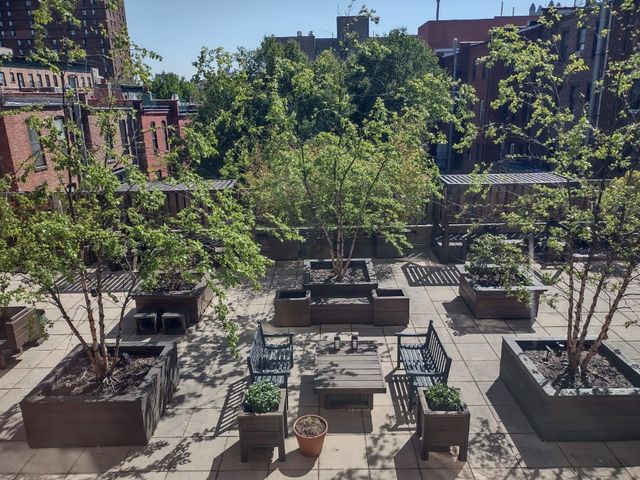 330 W 145th St Apt 311, New York City, NY 10039