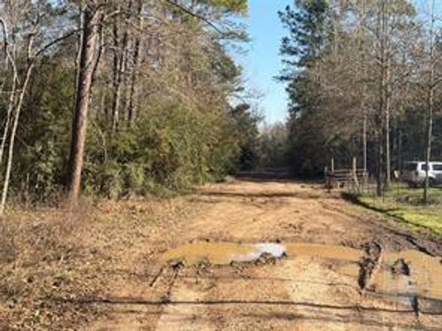 TBD Lazy Oak Drive, Livingston, TX 77351