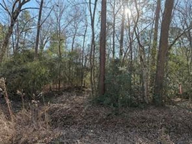TBD Lazy Oak Drive, Livingston, TX 77351