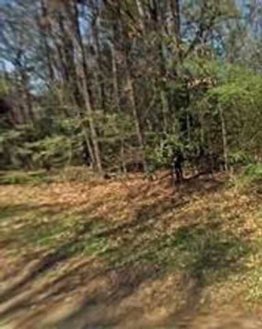 TBD Lazy Oak Drive, Livingston, TX 77351
