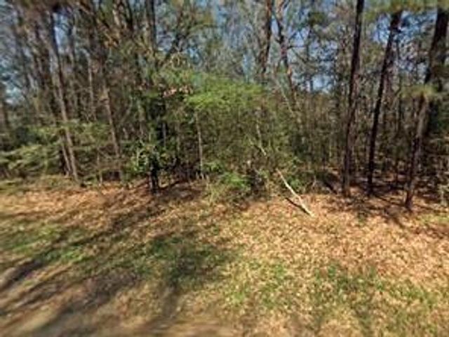 TBD Lazy Oak Drive, Livingston, TX 77351
