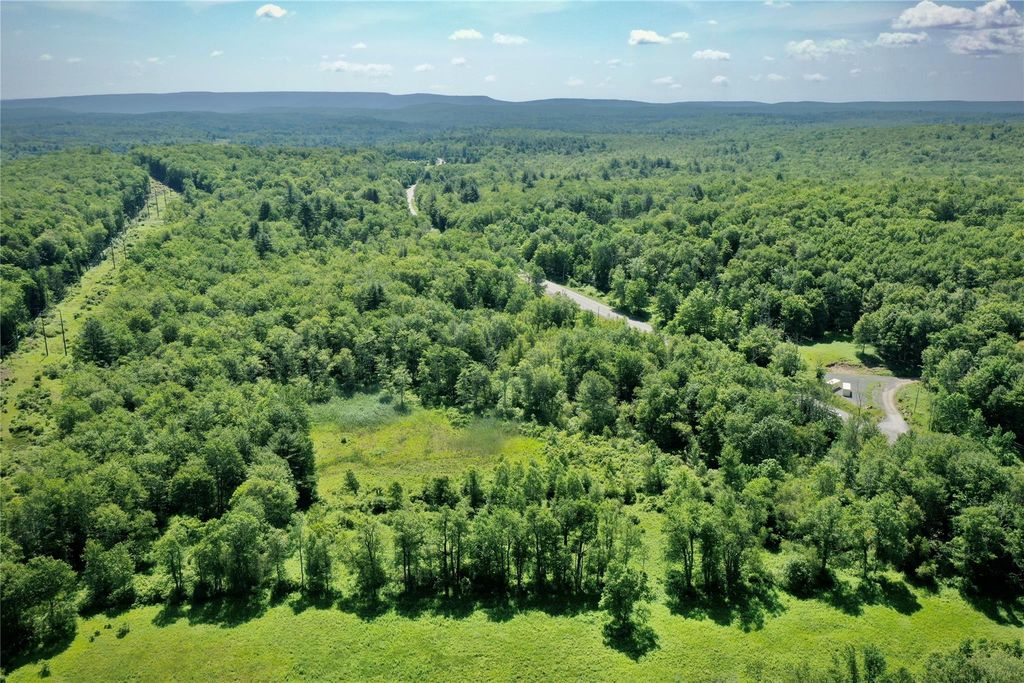 Rt. 52, Ellenville, NY 12489