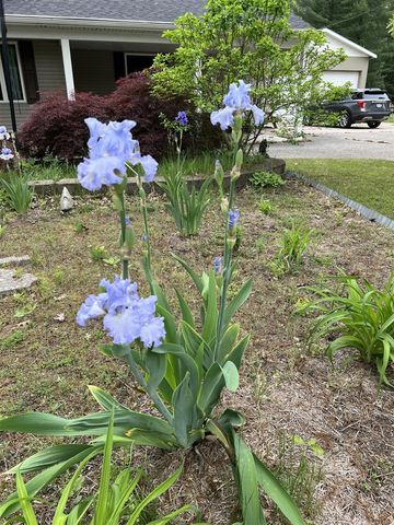 673 S Wolf Lake Road, Muskegon, MI 49442