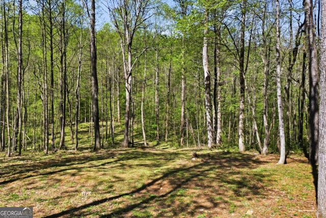 240 Mill Pond Court, Jasper, GA 30143