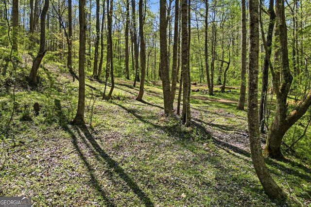 240 Mill Pond Court, Jasper, GA 30143