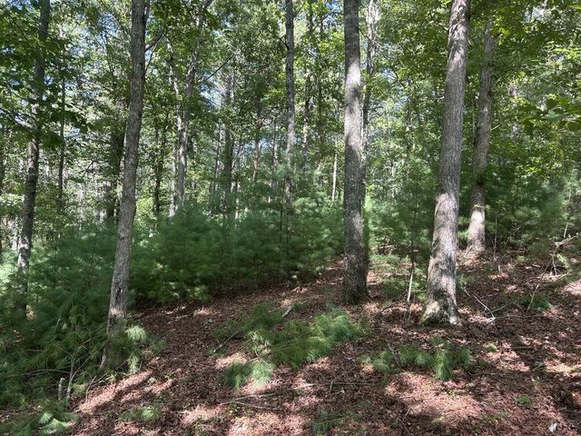 Lt 62 Harmony Way, Morganton, GA 30560