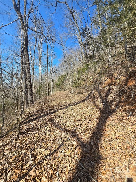 30 Black Mountain Road, Cullowhee, NC 28723