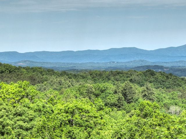 54 Channing Hollow, Morganton, GA 30560