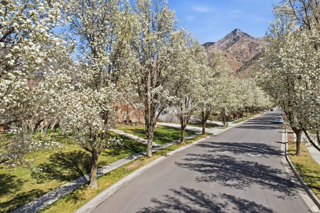 1201 E PRESTON DR, Alpine, UT 84004