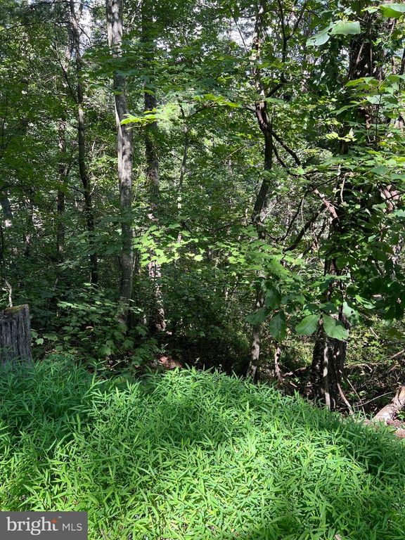 0 CRABAPPLE, Mount Jackson, VA 22842
