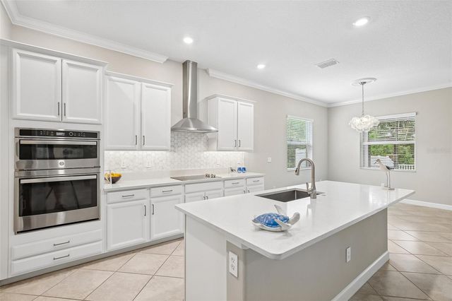 11040 BANYAN BREEZE BOULEVARD, Land O Lakes, FL 34638