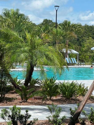11040 BANYAN BREEZE BOULEVARD, Land O Lakes, FL 34638