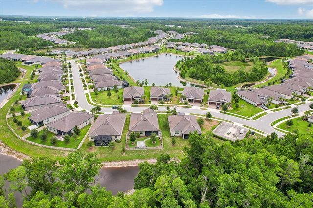 11040 BANYAN BREEZE BOULEVARD, Land O Lakes, FL 34638
