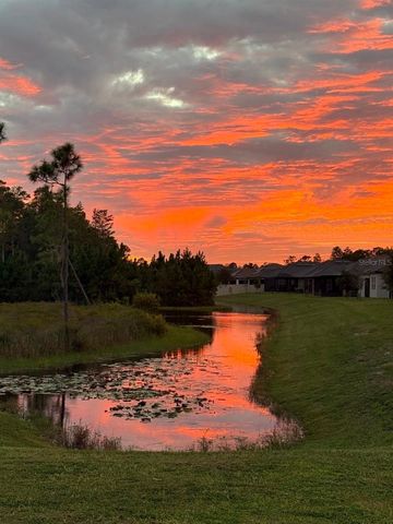 11040 BANYAN BREEZE BOULEVARD, Land O Lakes, FL 34638