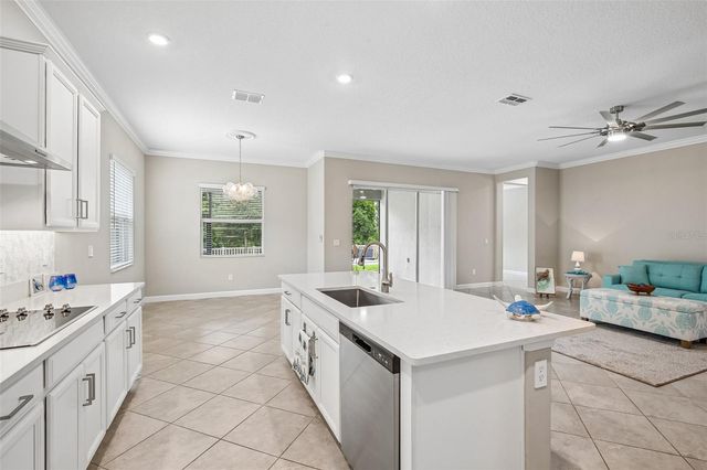 11040 BANYAN BREEZE BOULEVARD, Land O Lakes, FL 34638