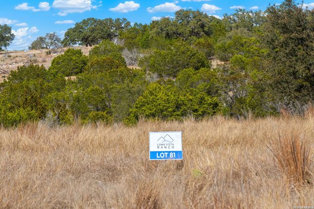 LOT 81 Firsching Rd, Kerrville, TX 78028