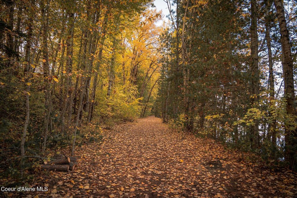 802 Sandpoint Ave, #8106, Sandpoint, ID 83864 photo 61