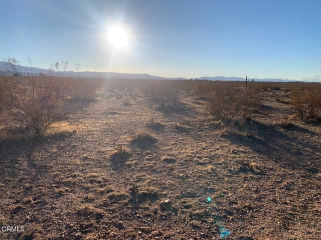 170 St Avenue, Palmdale, CA 93591