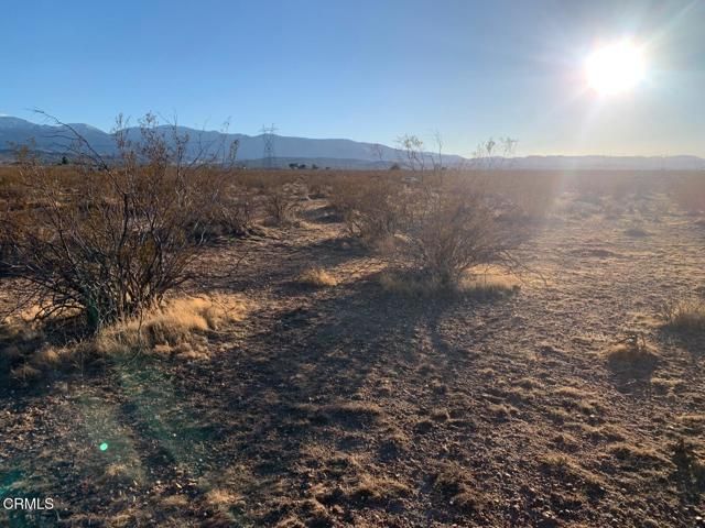 170 St Avenue, Palmdale, CA 93591