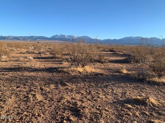 170 St Avenue, Palmdale, CA 93591