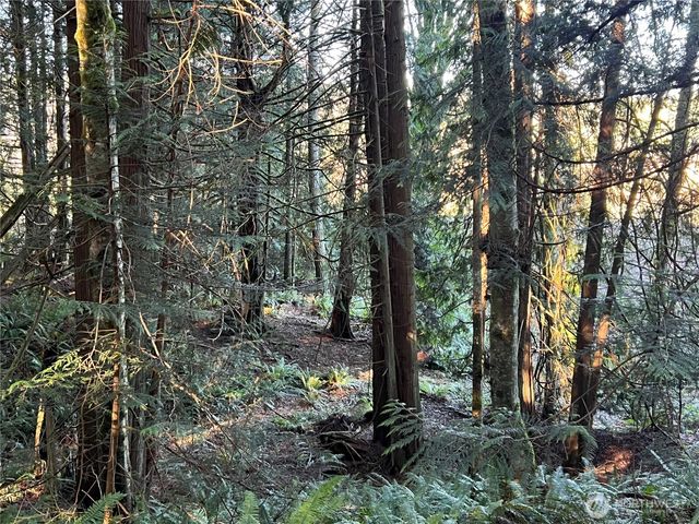 5662 Center Road, Chimacum, WA 98325