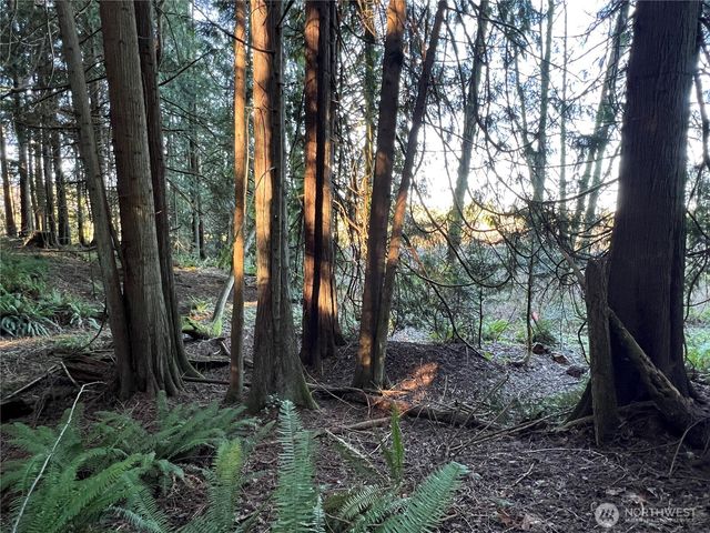 5662 Center Road, Chimacum, WA 98325