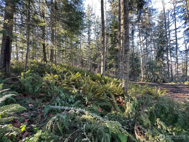 5662 Center Road, Chimacum, WA 98325