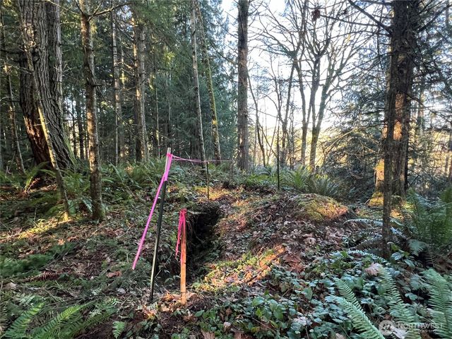 5662 Center Road, Chimacum, WA 98325