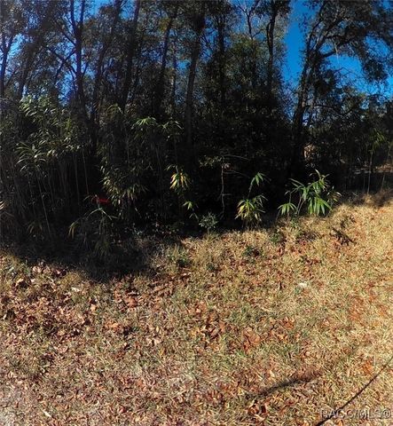 5726 S Charlotte Point, Homosassa, FL 34446