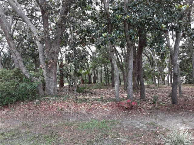 330 W Liberty Street, Hernando, FL 34442