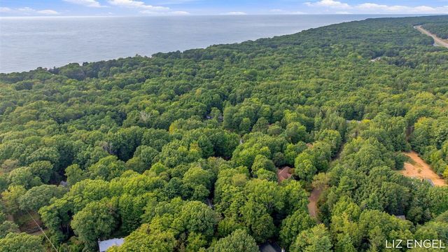 2309 Forest Trail Circle, Fennville, MI 49408