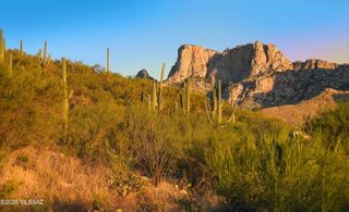 10576 N Buck Ridge Drive # 51, Oro Valley, AZ 85737