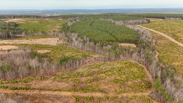0 State Rt 399 Lot 13, Dunlap, TN 37327