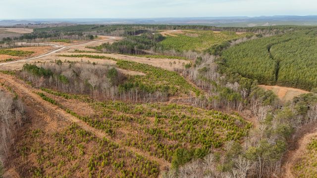0 State Rt 399 Lot 13, Dunlap, TN 37327