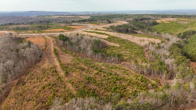 0 State Rt 399 Lot 13, Dunlap, TN 37327