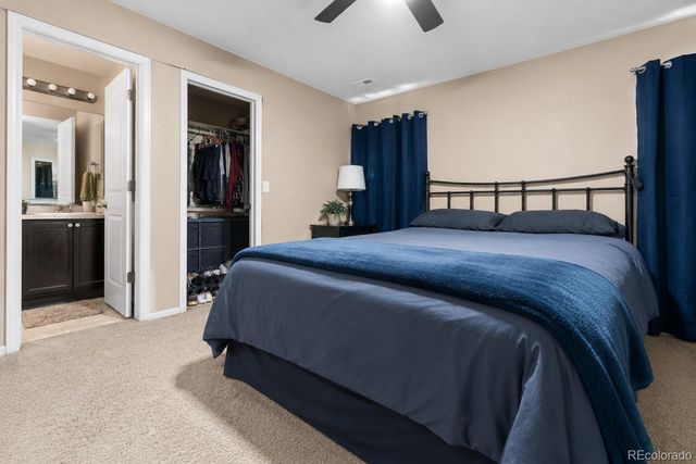 3508 Amber Sun Circle, Castle Rock, CO 80108