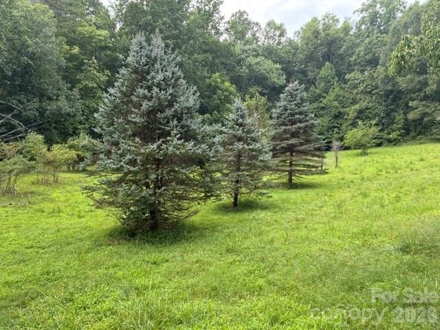 1526 Bills Creek Road, Lake Lure, NC 28746