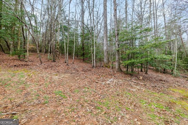 89 Ts Jarrard Road, Dahlonega, GA 30533